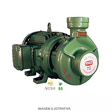 Bomba De Água Thebe Rl-20b R Rt157 10cv Weg Tri 220/380/440v