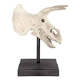 Diseño Toscano Ne867039 Estatua Fósil De Cráneo De Dinosauri