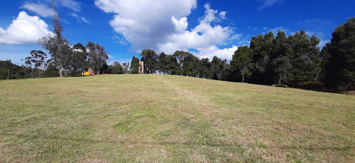 Lote En Venta, Envigado, Alto De Las Palmas - Imagen 4