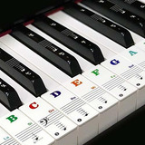 Pegatinas De Teclado De Piano Extraíbles Transparentes Delga