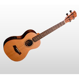  Ukelele Soprano Electro Acústico Ashland Uk212s 