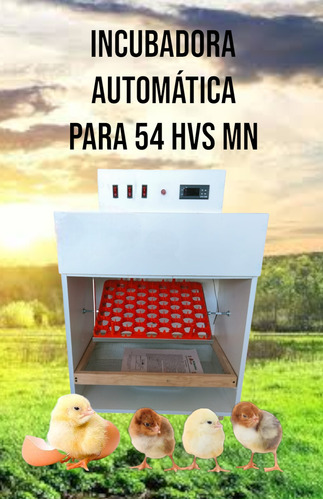 Incubadora Automática Para 54 Huevos 