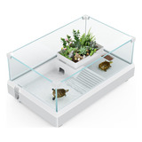 Acuario De Tanque De Tortuga De Cristal, Terrario De Reptile