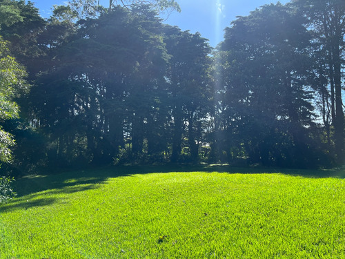 Vendo Terreno Los Ángeles San Rafael 1.343 M2 Con 35 Metros De Frente - Imagen 3