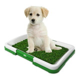 Baño Ecológico Para Perros 46 X 33,5cm / Hb Importaciones