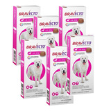 6 Bravecto Antipulgas Cães 40 A 56kg Original Envio Imediato