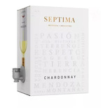 Vino Bag In Box Septima Chardonnay 3 Litros