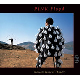 Cd Doble Pink Floyd / Delicate Sound Of Thunder (1988) Eur