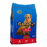 Alimento Perro Ganador Adulto Razas Medianas Y Granes 25 Kg