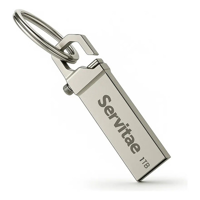 Memoria Usb 1tb Servitae Disco 1 Tera Flash Drive Llavero Color Plateado | Meses sin interés