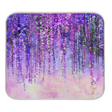 Escurridores De Platos - Zzwwr Romantic Beautiful Wisteria F