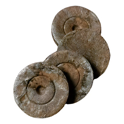 Moneda De Coco Jiffy X10 Turba Prensada Germinacion Esquejes | Envío gratis