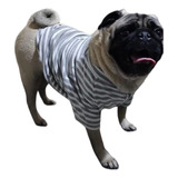 Roupa Pet,blusa Raglan Para Pet Grande N-7 