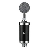 Microfono Audiolab Condensador Home Studio Fx Color Negro