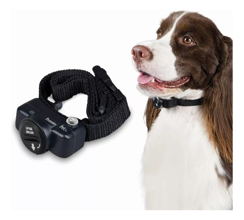 Premier Pet Collar Ajustable Para Añadir Un Perro