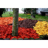 Mulch Decorativo