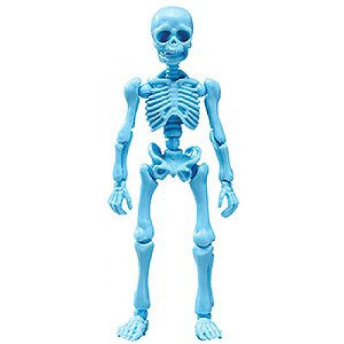 Re-ment Pose Skeleton Human 1 4 Blue Hawaii Calaca Miniatura