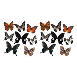 16 Piezas De Espécimen De Mariposa Real - Butterfly Art D