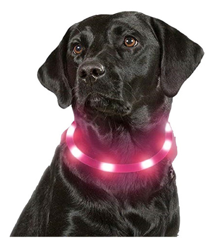 Collar Mascotas Con Luz Led 3 Efectos 