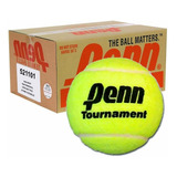 Pelotas Penn Tournament Tenis Padel Caja X 100 | Favio Sport
