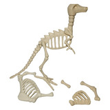 Playmobil Esqueleto De Dinosaurio Animal Prehistorico 15cm