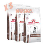 Royal Canin Gastrointestinal Jr. Dog 2 Kg X 3 Unidades