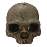 Adorno Pecera Cráneo De Simio En Resina Acuario Terrario