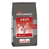 Alimento Royal Canin Club Performance Royal Canin Para Gato Adulto Sabor Mix En Bolsa De 7.5 kg
