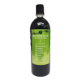 Shampoo Anticaída - Bergamota/ Orgánico Edengi 1 Litro