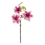 Simulación De Ramas De Orquídeas Magnolia Artificial