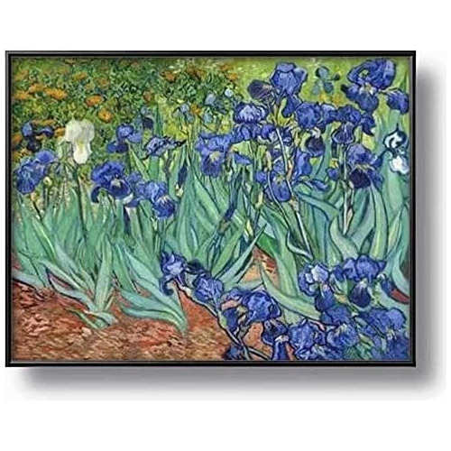 Pinturas De Diamantes De Van Gogh  Iris , Kits De Arte ...