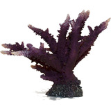 Enfeite Soma Coral Acropora Horn Purple Decoração Aquario