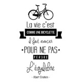 Vinilo Decorativo Frase Francés Vida Como Montar Bicicleta