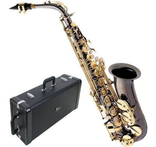 Saxofone Sax Alto Sa500 Bg Mib Eb Com Case