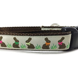 Collar De Perro, Caninedesign, Conejo De Pascua, 1 Pulgada D