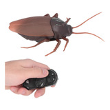 Cucaracha Realista Con Control Remoto Rc Prank Toy