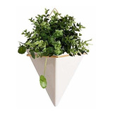 La Maceta Colgante Florero Pared Plantador Recipiente D...