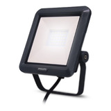 Reflector Proyector Led Philips 10 W Exterior Luz Fria / Dia