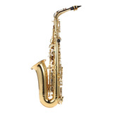Funda Para Saxofón, Teclado, Instrumento Alto, Acolchada, Ti