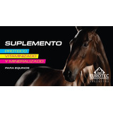 Suplemento Equino Potrillo Vitamínico (100 Gr) X 20 Unidades