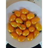 Semillas Mix Variedades Tomate Cherry Amarillo 