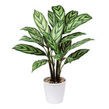 24.8  Artificial Calathea Majestica Exotica Plant Faux ...