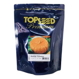 Sementes De Abóbora Moranga Exposição 250g Topseed Premium