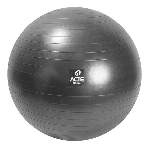 Gym Ball Com Bomba De Ar 85 Cm Cinza Chumbo T9-85acte Sports
