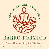 Barro Fórmico Para Mascarilla Desinflama Limpia Elimina