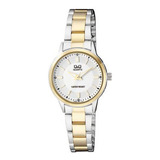 Reloj Q&q Dama Plata Q969j401