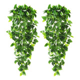 2 Plantas Artificiales Colgantes For Aire Interior De Pared.