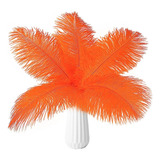 Plumas De Avestruz 25-30 Cm /5 Pcs Eventos Fiestas Decoracio