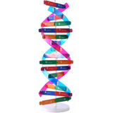 Peleustech Genes Humanos Dna Modelos Doble Helix Ciencia Pop