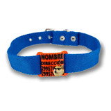 Collar Con Nombre Para Perro Talle 7 (48cm-57cm) + Chapita 